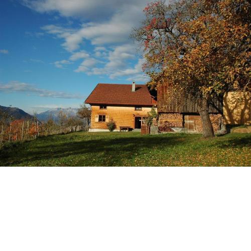 Ferienhaus Dünser