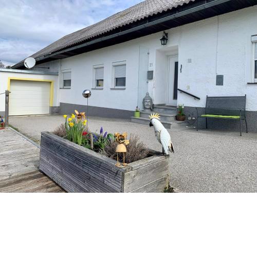 Ferienhaus Frieda