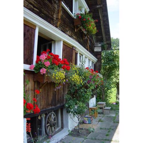 Ferienhaus «Hüsli»