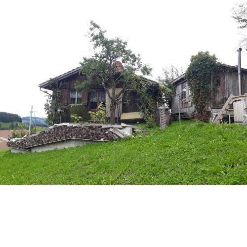 Ferienhaus im Grünen