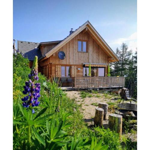 Ferienhaus in Wolfsberg mit Grill, Garten und Terrasse