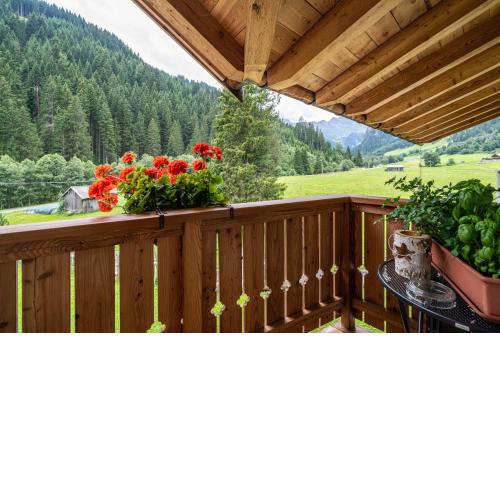 Ferienhaus Larch Soge Apt Paula