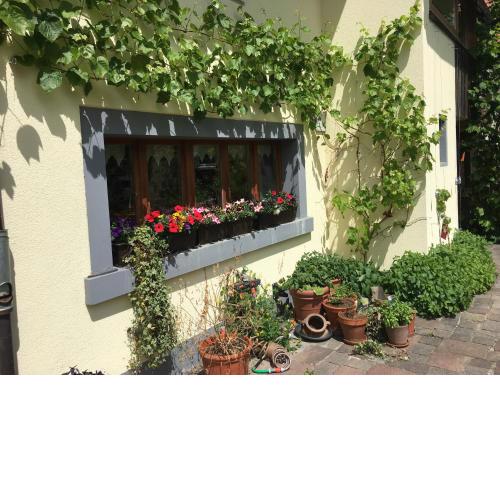 Ferienhaus mit Naturgarten