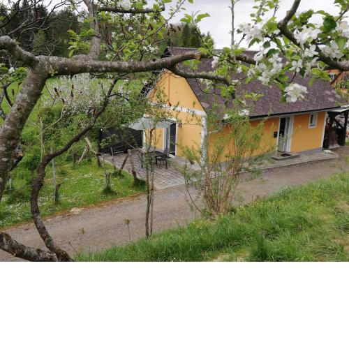 Ferienhaus Muster Dominkusch II