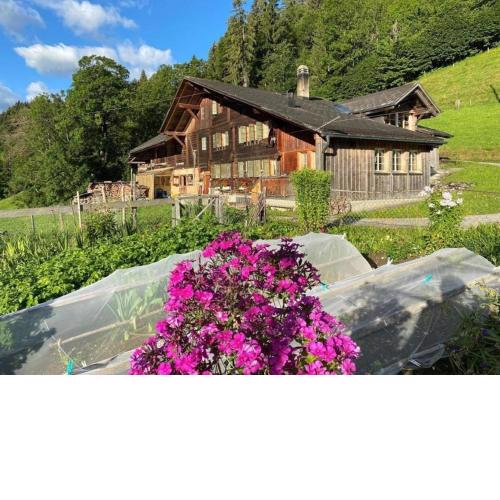 Ferienhaus Schönenmatte
