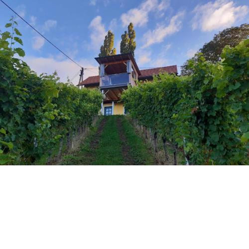 Ferienhaus Urschitz