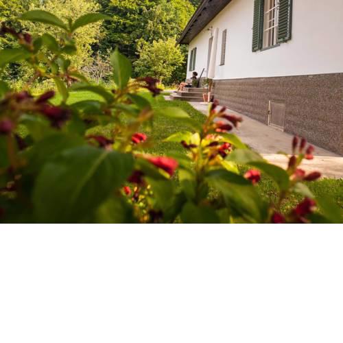 Ferienhaus Vogeljager