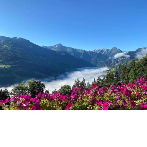 Ferienhaus Zillertal Panorama Blick
