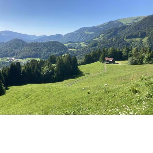 Ferienhütte Gschwend im Bregenzerwald