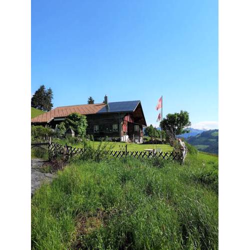 Ferienwohnung ''ALPENLUFT'' in Zweisimmen, Natur-Pur