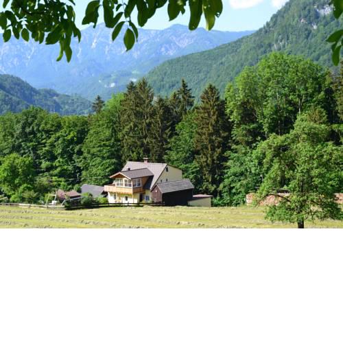 Ferienwohnung Alpenwiesen