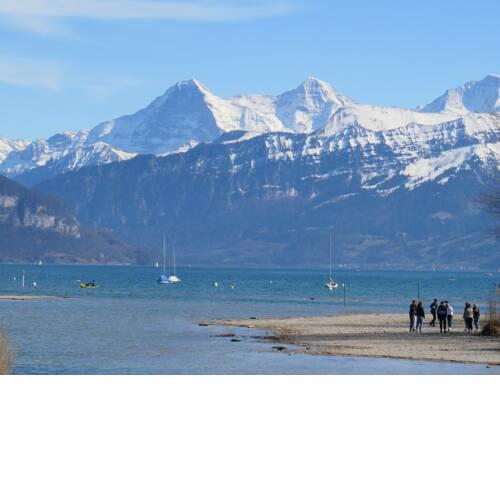 Ferienwohnung am Thunersee