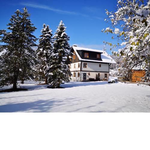 Ferienwohnung Bergfeeling