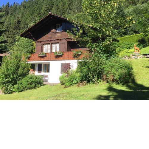 Ferienwohnung Betula