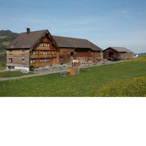 Ferienwohnung Brülisauer