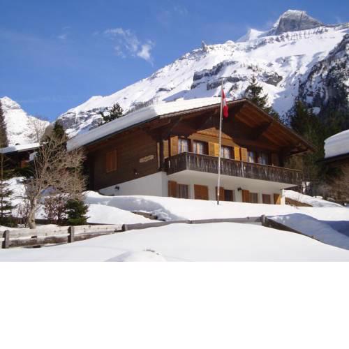 Ferienwohnung Chalet Bergblume