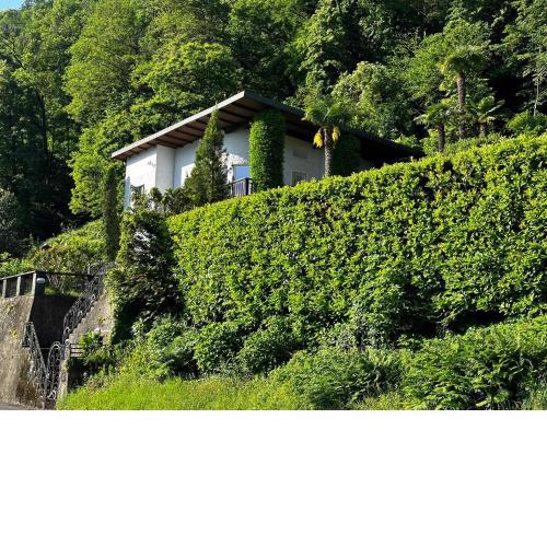 Ferienwohnung Il Sogno mit privatem Seeanstoss in Riva San Vitale-Lugano