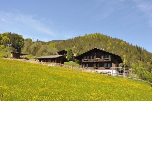 Ferienwohnung im Chalet Adelheid