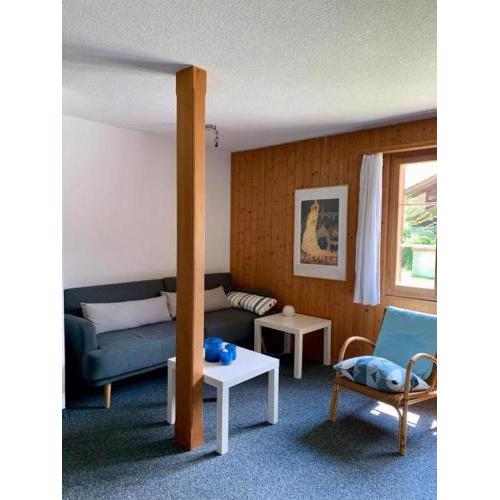Ferienwohnung im Chalet "Underem Gfell 28"