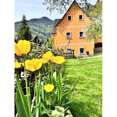 Ferienwohnung-Mixnitz-Bärenschützklamm 3