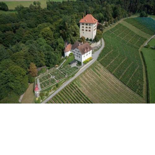 Ferienwohnung Schloss Heidegg