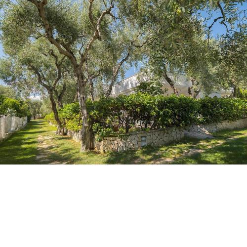 Ferienwohnung ulivo mit Pool und Privatstrand
