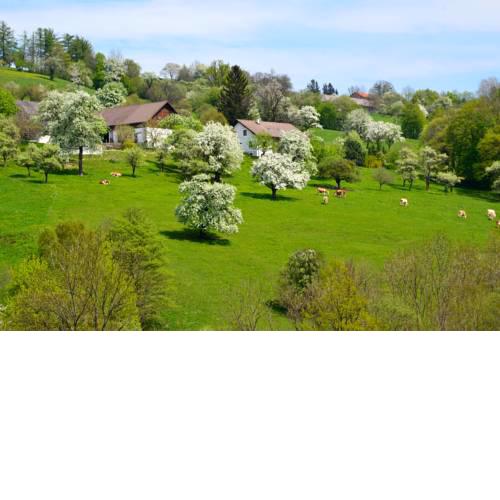 Ferienwohnung Vonwald