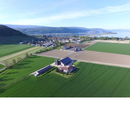 Ferienzimmer Zülli