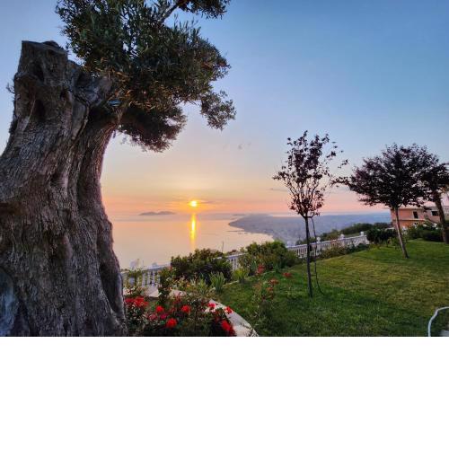 Festim Villa Hotel