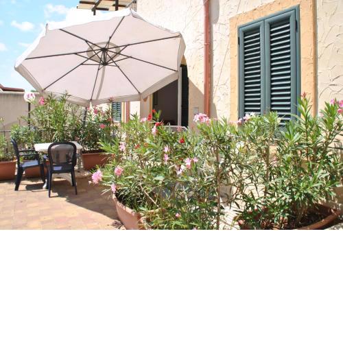 Ficus - Complesso Torre del Mito