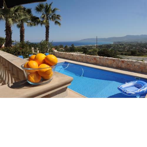 Fig Tree Villa
