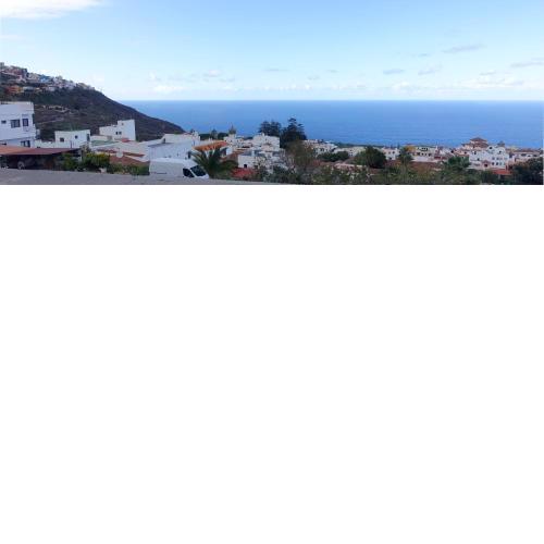 Finca Brujita del Drago - Authentic Canarian Homestead