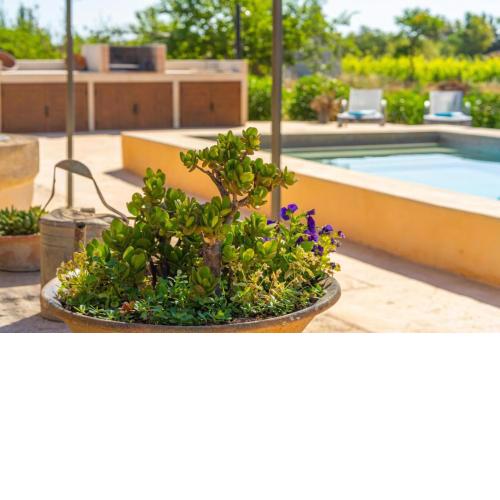 Finca Can Fumat 21 Blue