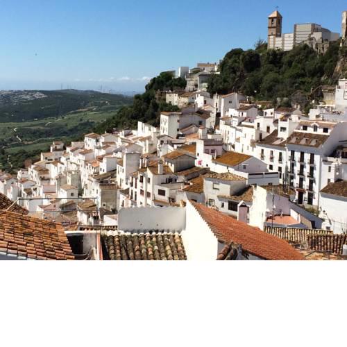 Finca Eva 34 Casares Historico