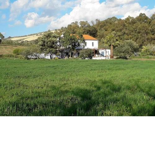 FINCA LOS MELEROS Andalucian farmhouse set in its own land with beautiful terraces, garden & pool.