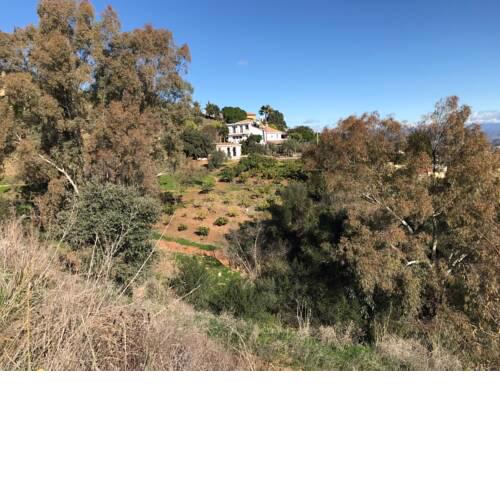 Finca Peace of Mind
