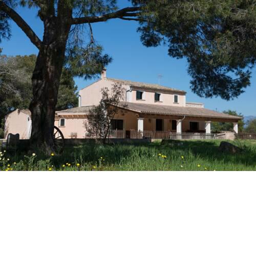 Finca Son Felip