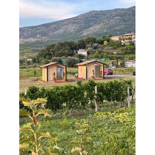 Fishta Guesthouse
