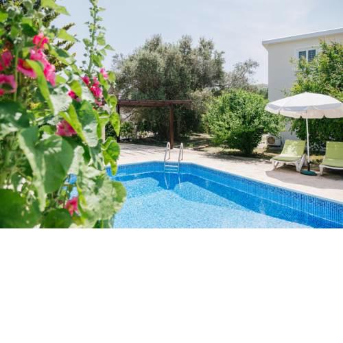 Five Greeks 4 Bedroom Villa in Paphos