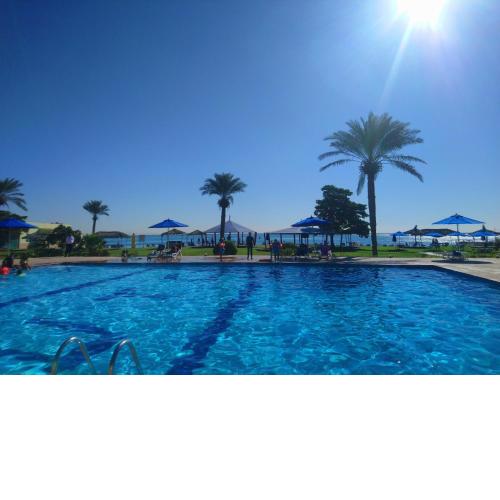 Flamingo Beach Hotel