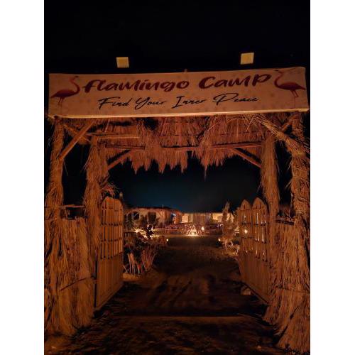flamingo camp