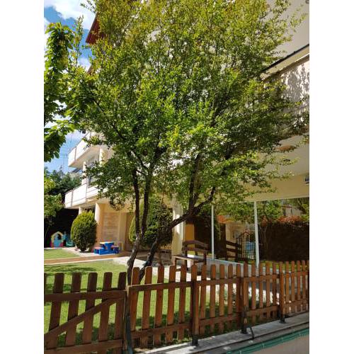 Flat with Garden