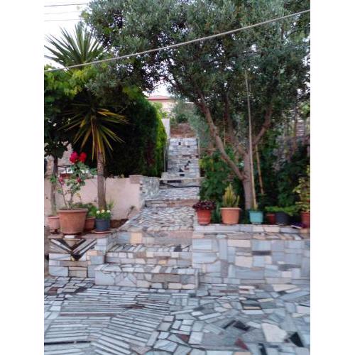 Flora’s place