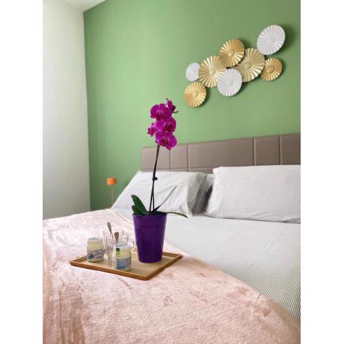 Flower - Residenze Tarasconi