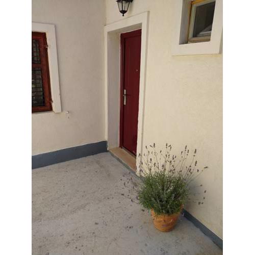 Flower apartment