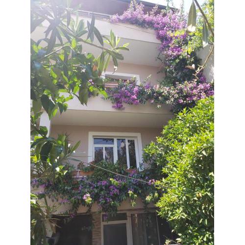 Flowers Guesthouse