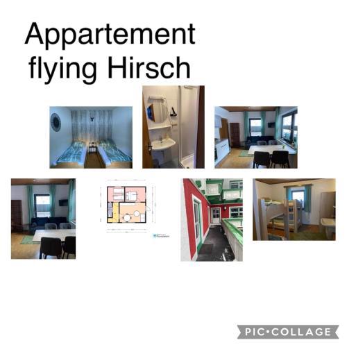 Flying Hirsch