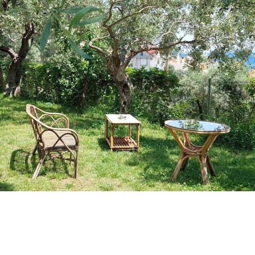 For Nature Lovers- PARADISE 1