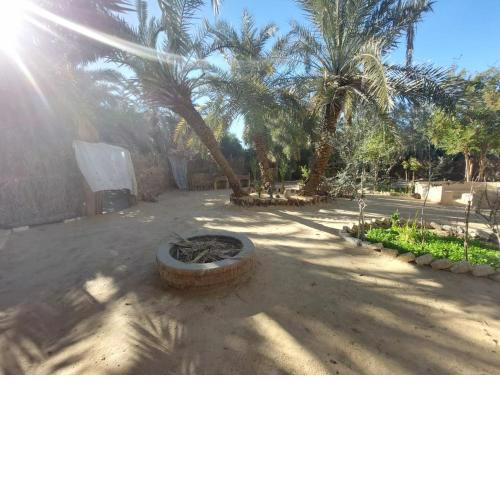 Forest Camp Siwa - كامب الغابة