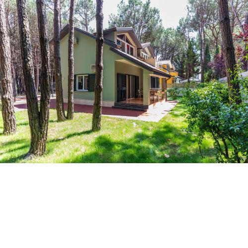 Forest Cottage - middle of forest & near the beach